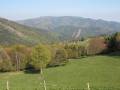IMG_6045.JPG